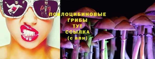скорость Алексин