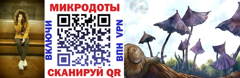 ссылка на мегу сайт  закладка  Аркадак  Псилоцибиновые грибы Cubensis 
